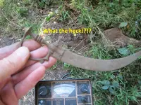 Finds 9-30-19 004.webp