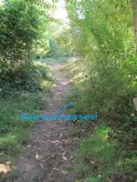 Finds 9-30-19 005.webp