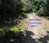 Finds 9-30-19 008.webp