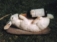 easter-beer-hunt-bunny.jpg