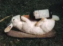 easter-beer-hunt-bunny.webp