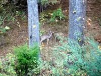 014.webp