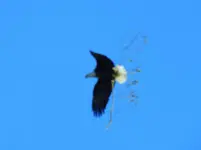 K1600_DSCN7690.webp