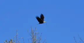 DSCN7696.webp
