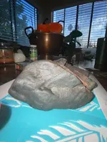 ImageUploadedByTreasureNet.com1573961129.146629.webp