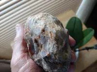 1010191155.webp