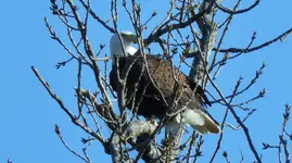 DSCN7683.webp
