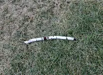 K1600_DSCN7789.webp