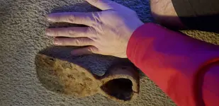20191126_145759.webp