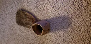 20191126_145808.webp