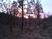 20191109_173350.webp