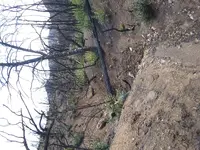 20191110_115522.webp