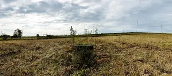 20190930_035735.webp