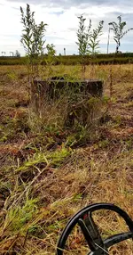 20190927_093635.webp