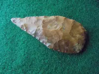 DSC06933.webp