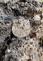 20190929_125747.webp
