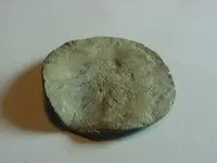 coin1 (2).webp
