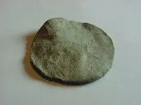 coin1 (1).webp