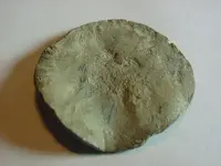 coin1 (4).webp