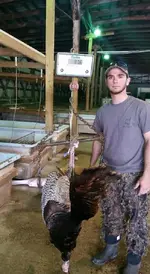 turkey.webp