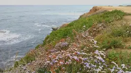 IMG_20191126_172615.webp
