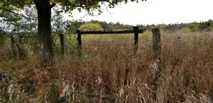 20191006_150911.webp