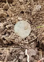 20191006_174615.webp