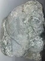 ORE E.webp