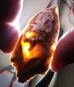 20191002_193626.webp