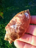 20190929_073054.webp
