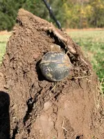 thumbnail_IMG_7745.webp