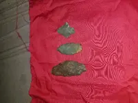 20191103_061717.webp