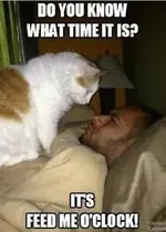 c482c0117c937f835a4937bf00a62c75.webp