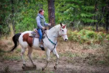 WEB_IMP_3_508-3.webp