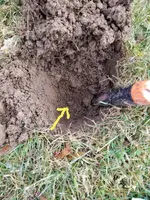 20191211_215008.webp 20191211_215008.webp