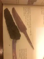 ImageUploadedByTreasureNet.com1574046691.365570.webp