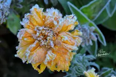 0211-1.webp