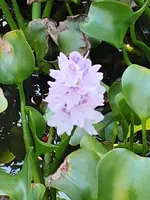 20190516_175813.webp