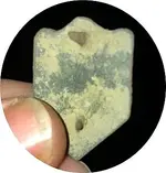 ImageUploadedByTreasureNet.com1573917063.278025-crop.webp