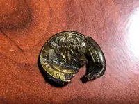 ImageUploadedByTreasureNet.com1574084779.218847.webp