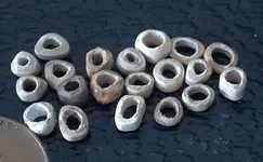 bone beads.webp