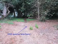 finds 11-9-19 032.webp