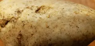 20191030_223043.webp