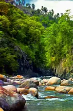 Rio Gualcarque.webp