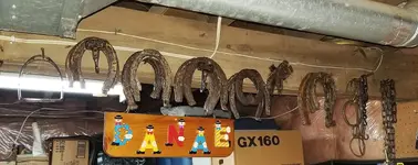 20191128_051523.webp
