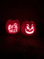 pumpkins.webp