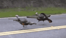 tenor (32).gif