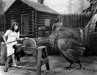 th1TUK6AJY turkey.webp