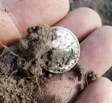 silver1000k-850.webp