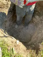 ImageUploadedByTreasureNet.com1571606619.630244.webp
